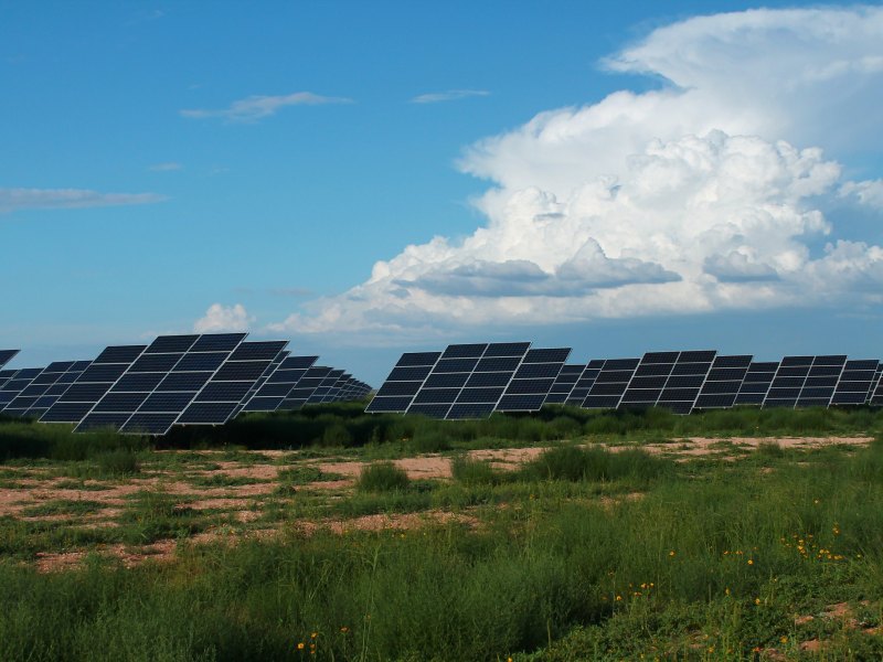 Dozens of solar panels sit beneath a blue, slightly cloudy sky